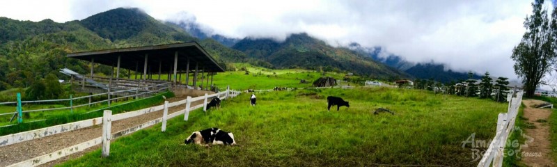 Chillin The Borneo Way